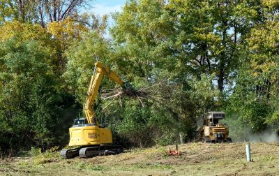 Get Professionals to Use Forestry Equipment!