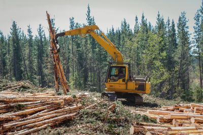 Land Clearing Method!