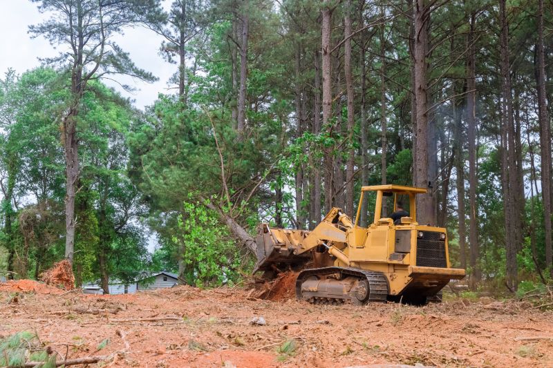 Building Site Clearing in Cumming, GA